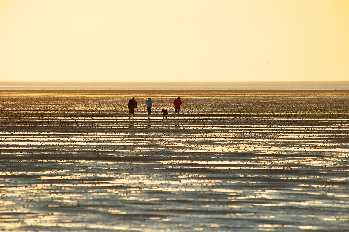 Das Wattenmeer mit Personen im Sonnenuntergang